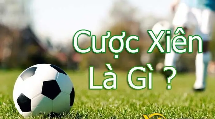 cach tinh tien cuoc xien trong bong da 683958407177b