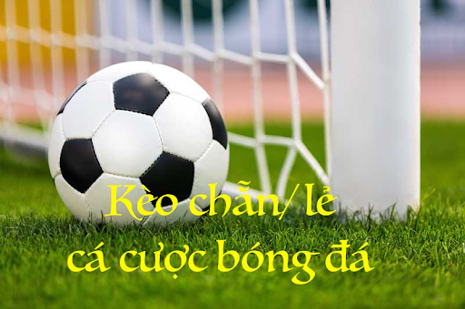 keo chan le bong da nha cai rik88 6839585039f8d