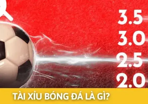 Kèo tài xỉu 2.25 nhà cái Rik88 - Hiểu rõ để đặt cược hiệu quả