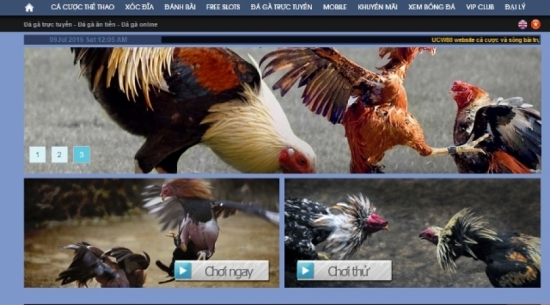 Khám Phá Thế Giới Đá Gà Chọi Online C1 Vip - Trải Nghiệm Độc Đáo