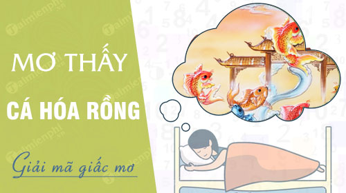 Mơ thấy cá đánh lô đề con gì - Giải mã giấc mơ và những con số may mắn Mơ thấy cá đánh lô đề con gì - Giải mã giấc mơ và những con số may mắn