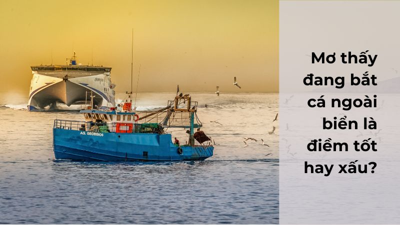 Mơ thấy cá đánh lô đề con gì - Giải mã giấc mơ và những con số may mắn Mơ thấy cá đánh lô đề con gì - Giải mã giấc mơ và những con số may mắn