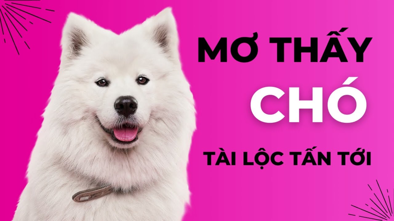 nam mo thay cho danh lo de con gi 683959426dfac