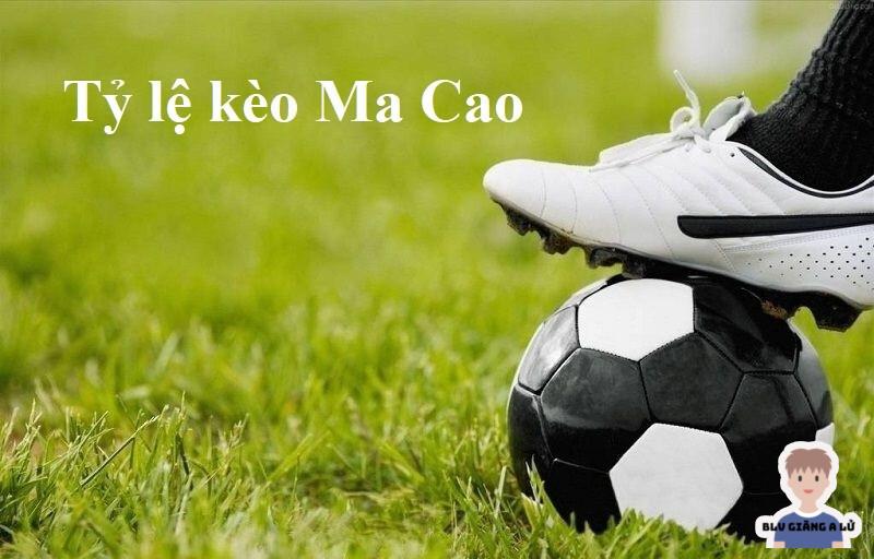 Tỷ lệ kèo macao nhà cái Rik88 - Khám Phá Thế Giới Cá Cược Đẳng Cấp