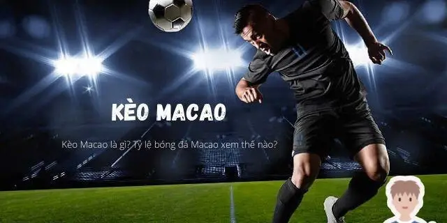 Tỷ lệ kèo macao nhà cái Rik88 - Khám Phá Thế Giới Cá Cược Đẳng Cấp