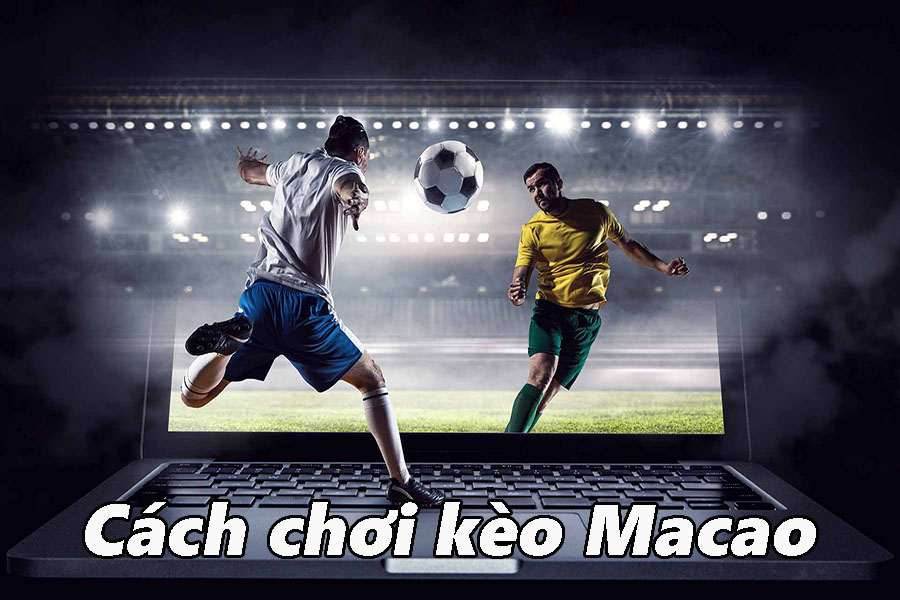 Tỷ lệ kèo macao nhà cái Rik88 - Khám Phá Thế Giới Cá Cược Đẳng Cấp